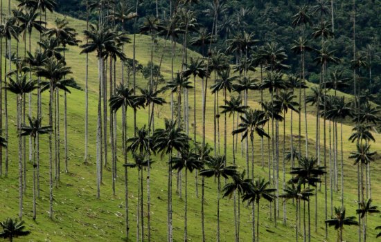 Colombia For Families